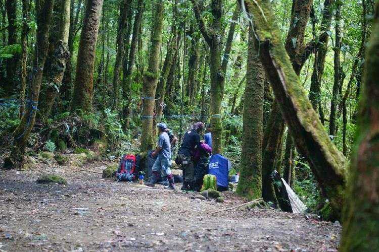 Cara Mendaki Gunung Pangrango Gaga Radio