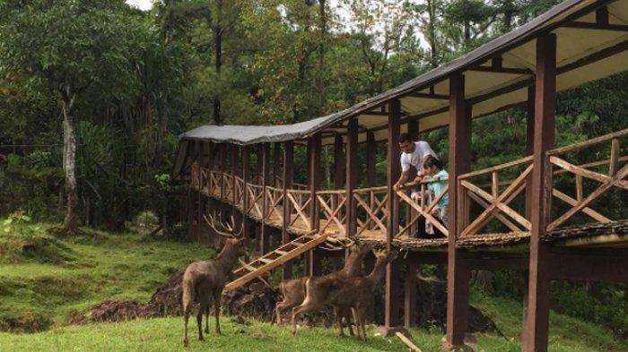 Menyegarkan Diri Di Tengah Keindahan Alam: Destinasi Wisata Alam Terdekat Yang Wajib Dikunjungi